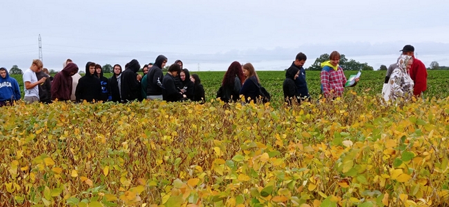 uczestnicy szkolenia oglądający doświadczenie z soją na polu