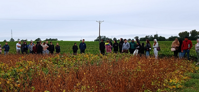uczestnicy szkolenia oglądający doświadczenie z soją na polu