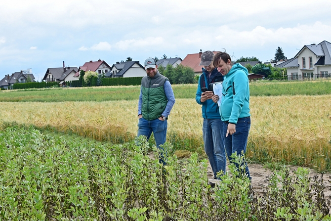 grupka rolników stojąca przed doświadczeniem z bobikiem