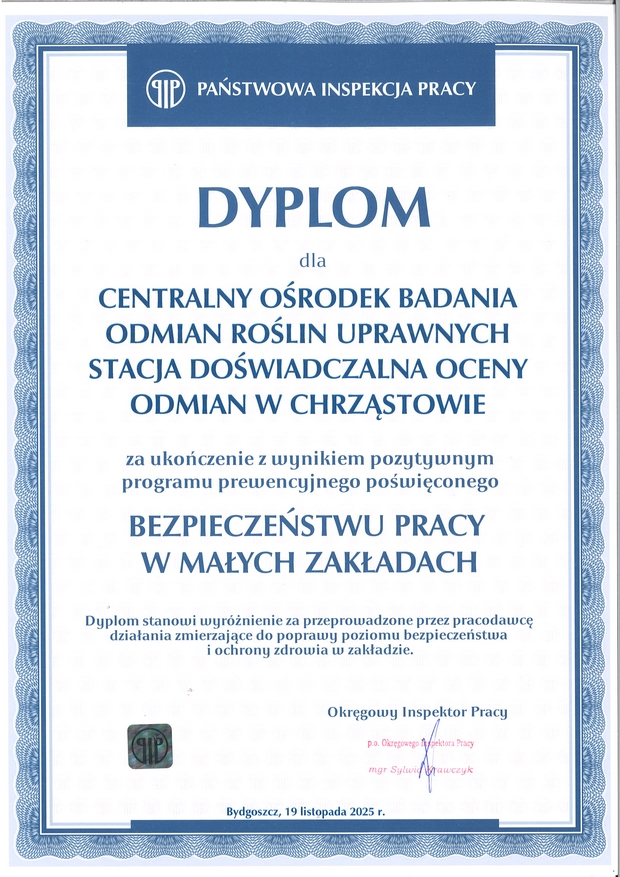 zdjęcie dyplomu 