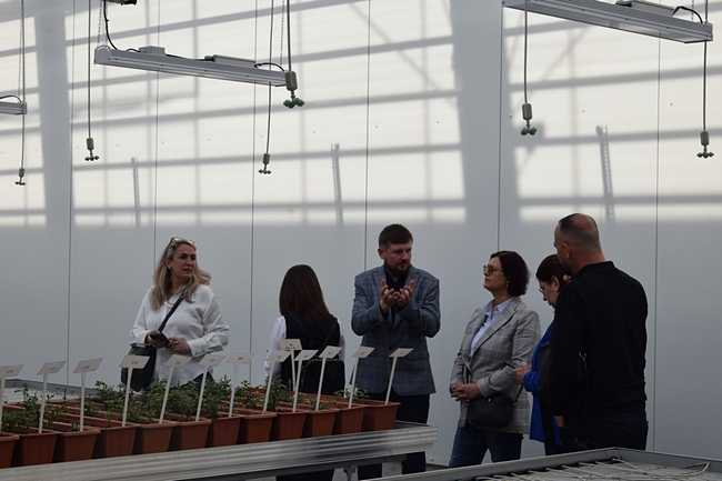 Uczestnicy spotkania stojący w szklarni przy stole, na którym stoją doniczki z roślinami